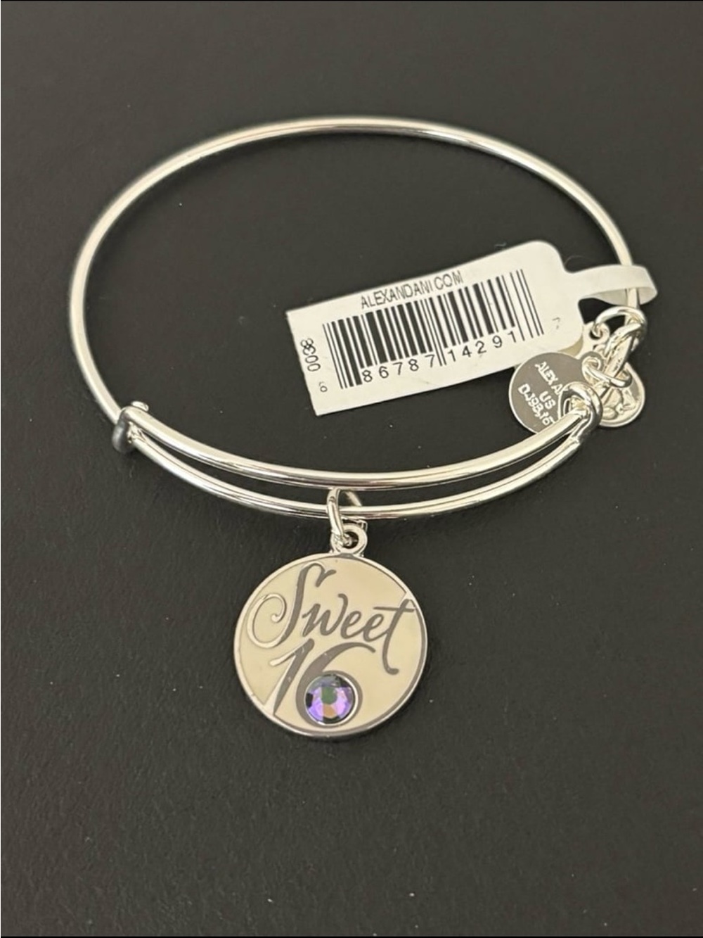 Alex and Ani Silver Sweet 16 Charm Bangle #405